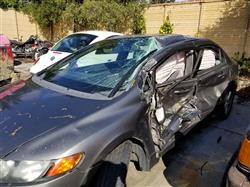 MEa69864b8b71395122ec34e7f528c84ef